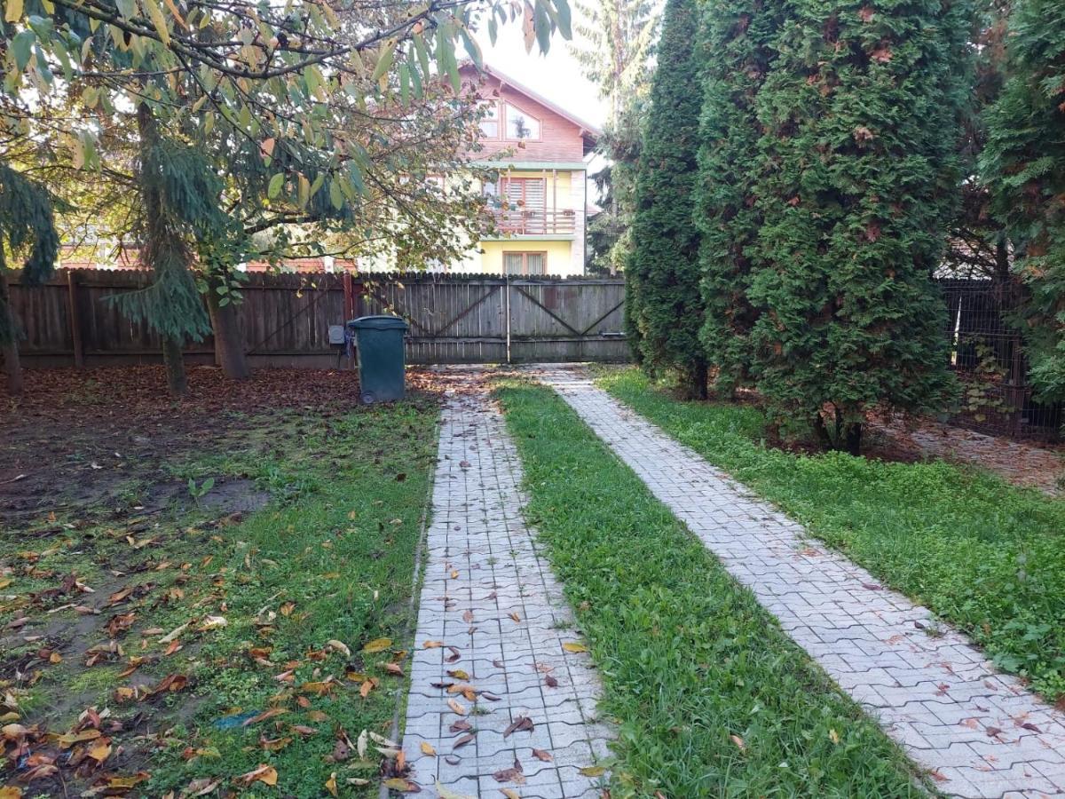Apartamente Bobo Sangeorgiu de Mures Exterior photo